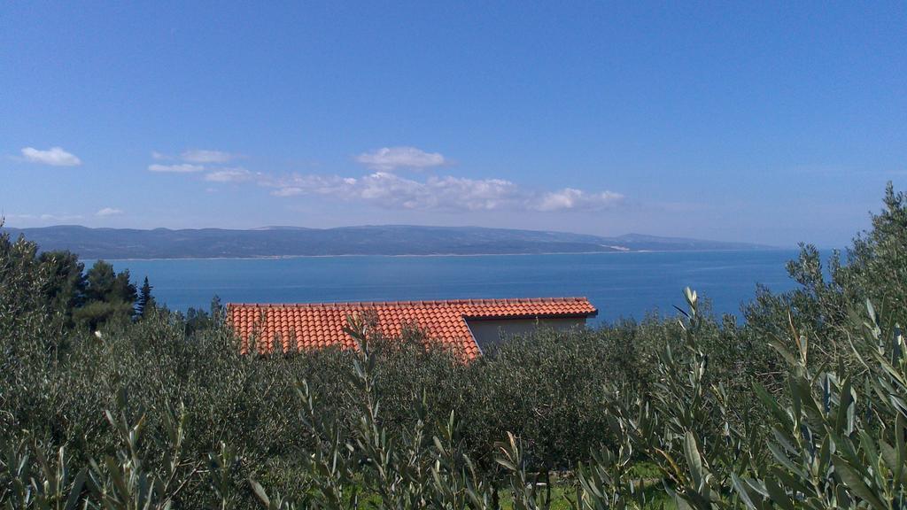 Oliveta Brela