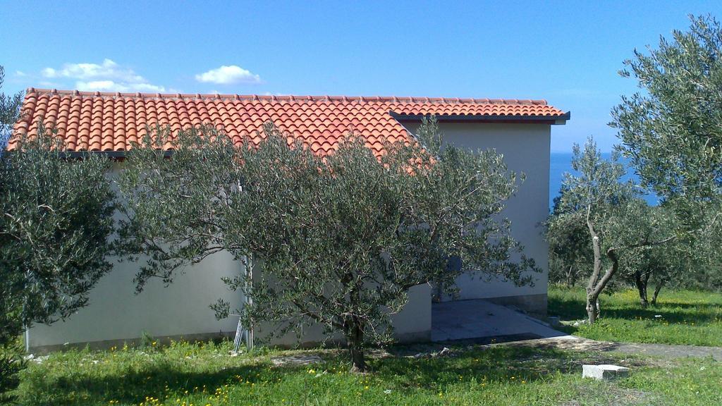 Oliveta Holiday home Brela